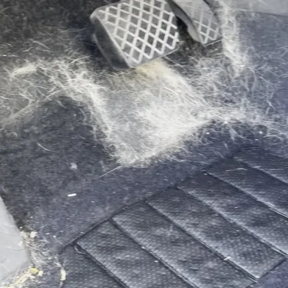 Pet hair worked into a vehicle&rsquo;s carpet